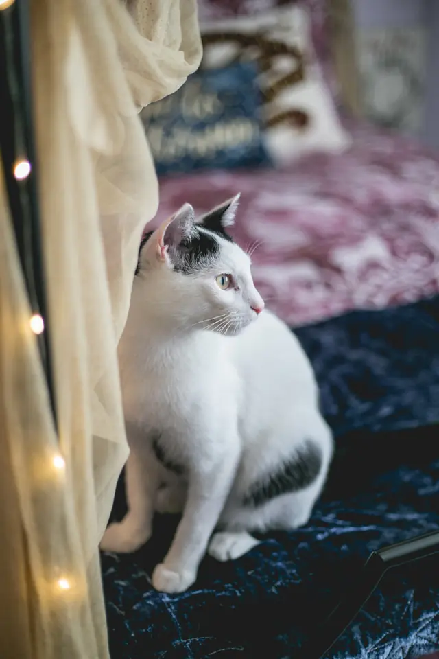 Claire's Sanctuary — photo 2 of 56
