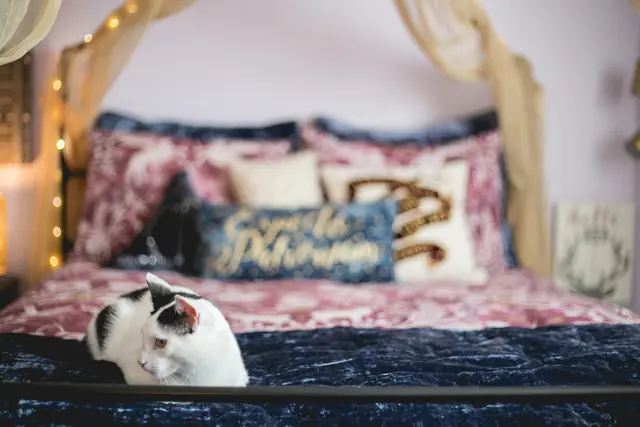 Claire's Sanctuary — photo 5 of 56